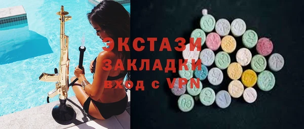 индика Верхний Тагил