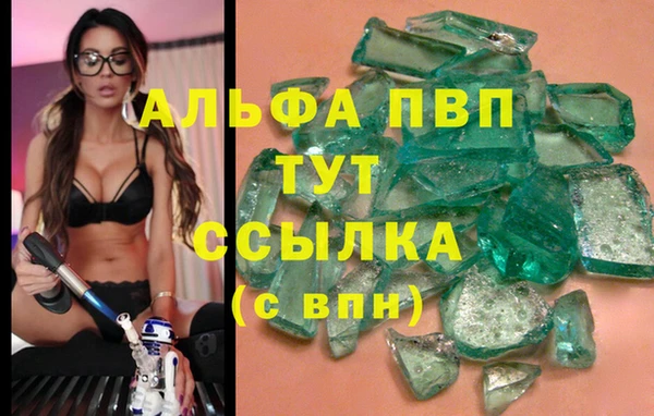 индика Верхний Тагил