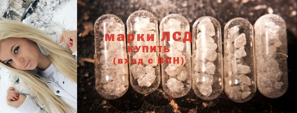 индика Верхний Тагил