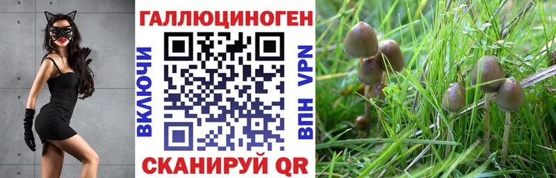 купить  цена  Добрянка  МЕГА   Галлюциногенные грибы MAGIC MUSHROOMS 